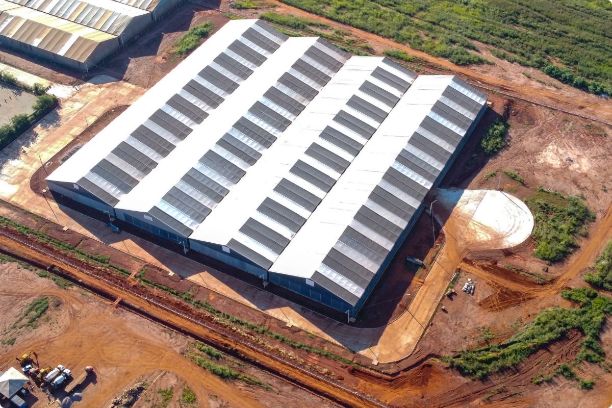 Obra em destaque 1