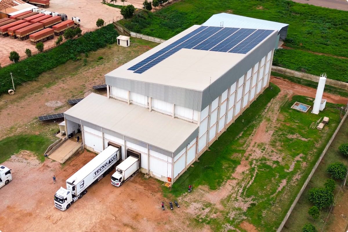 Obra em destaque 6